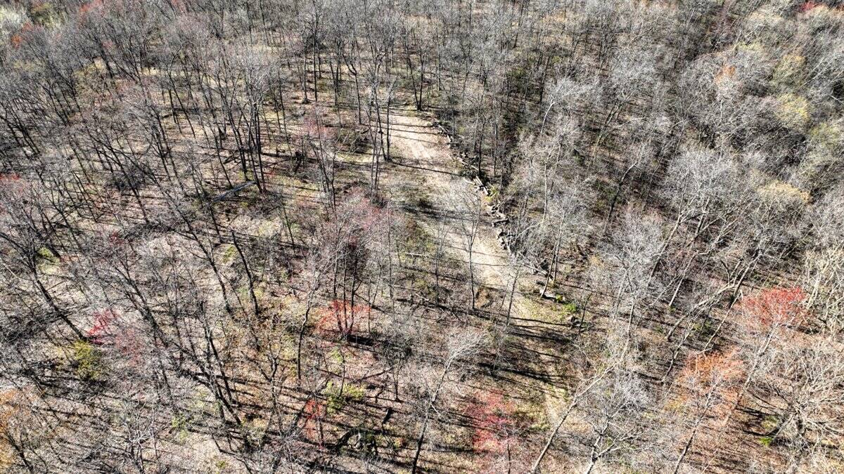 Premium 32+/- Acre Parcel in La Crosse County WI