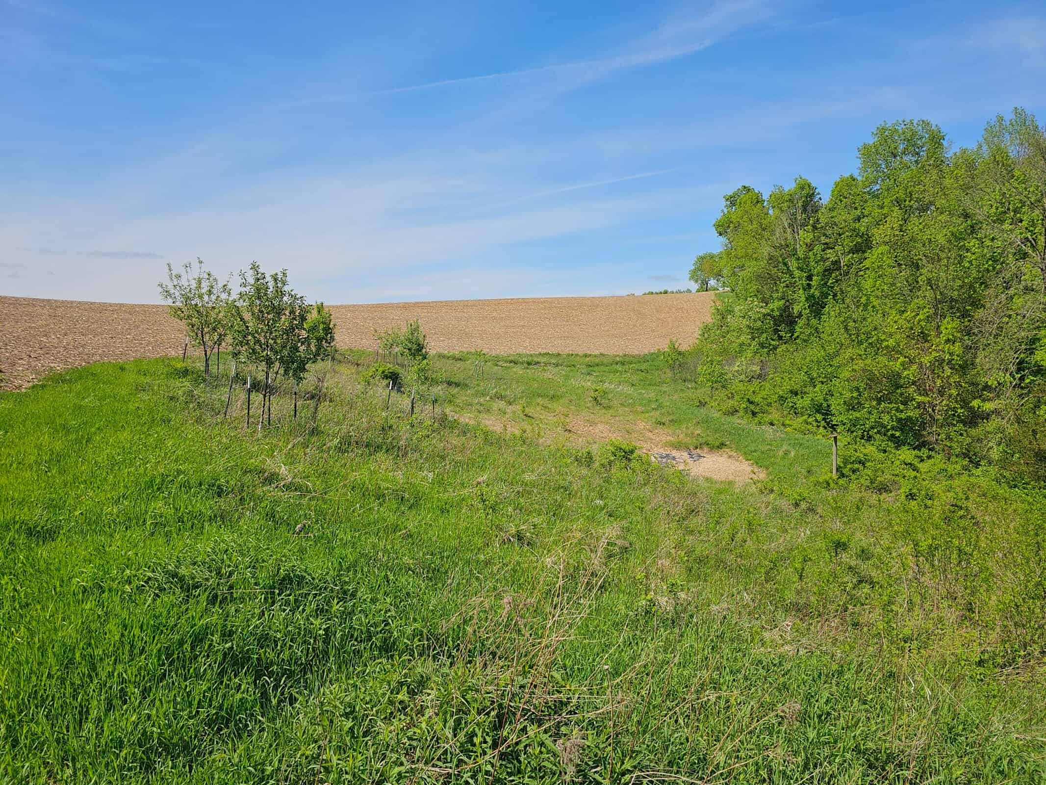 65-acre trophy whitetail and turkey hotspot