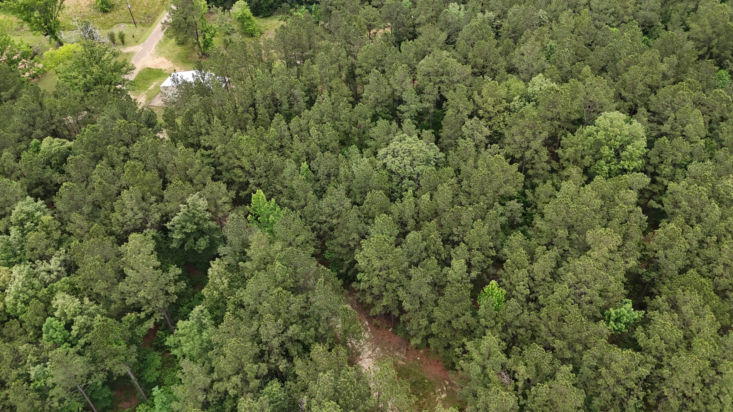 Riverfront Hunting Property with a Private Lake