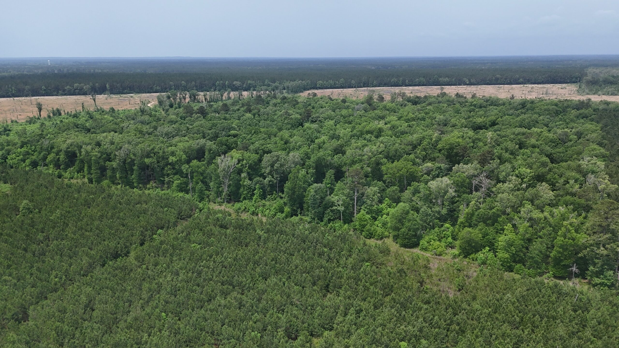 70 Acre Hunting Property with Camp Spot and Utilities