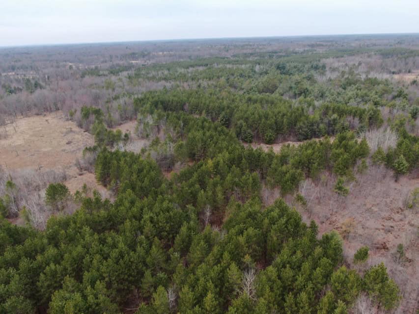 103± acre timber tract in Juneau County’s Town of Necedah