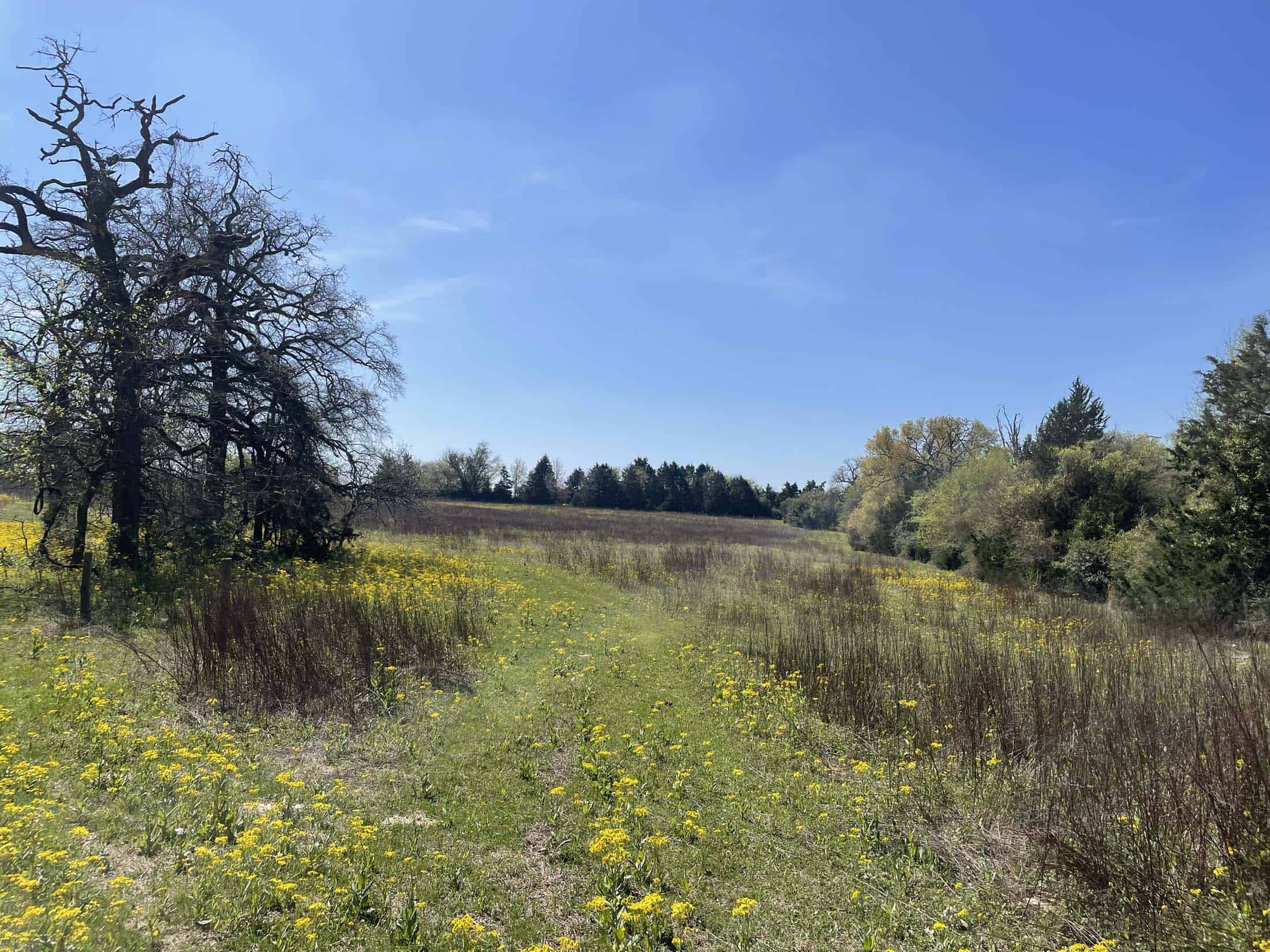 Recreational Ranch North of Houston near Grapeland TX