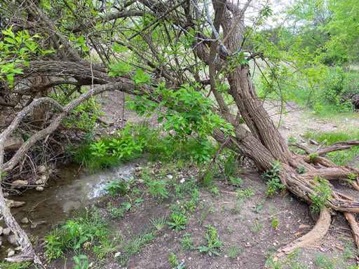 51.01 Acres for Sale in Gatesville, TX – Gated Entrance, Pond, and Stunning Views