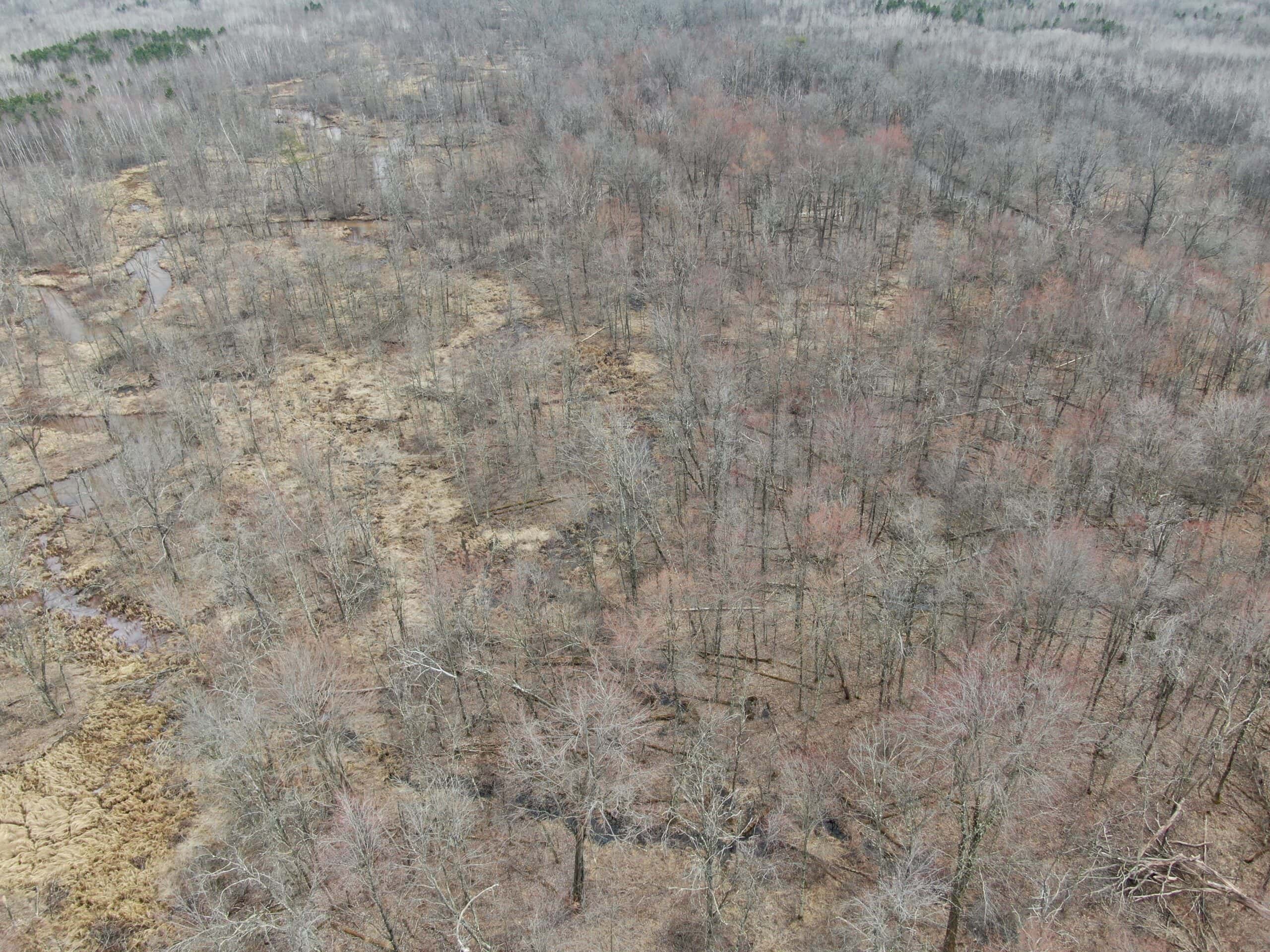 Juneau County WI 360 Acre Outdoor Paradise