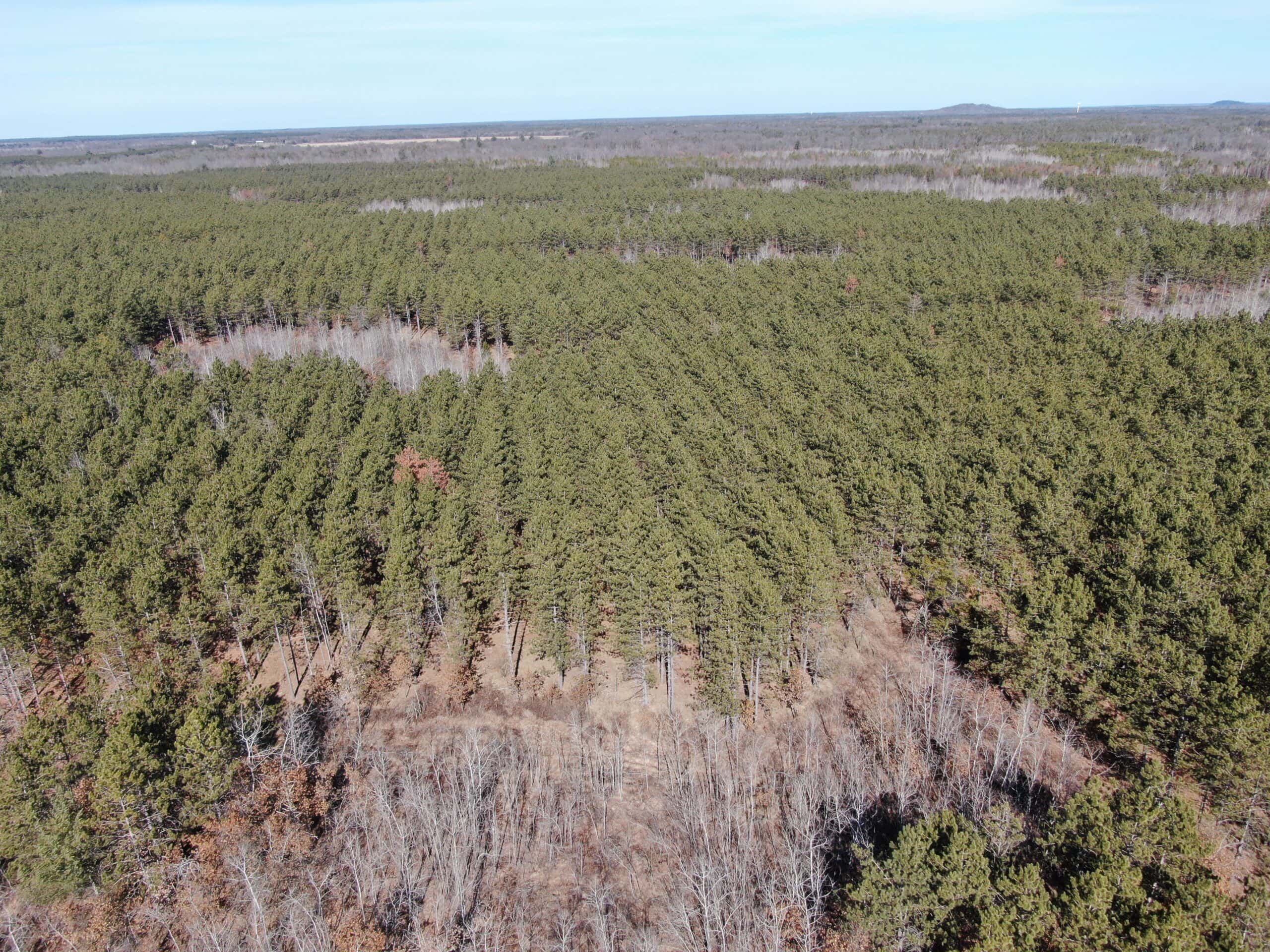 Juneau County WI 200-Acre Tract of Land