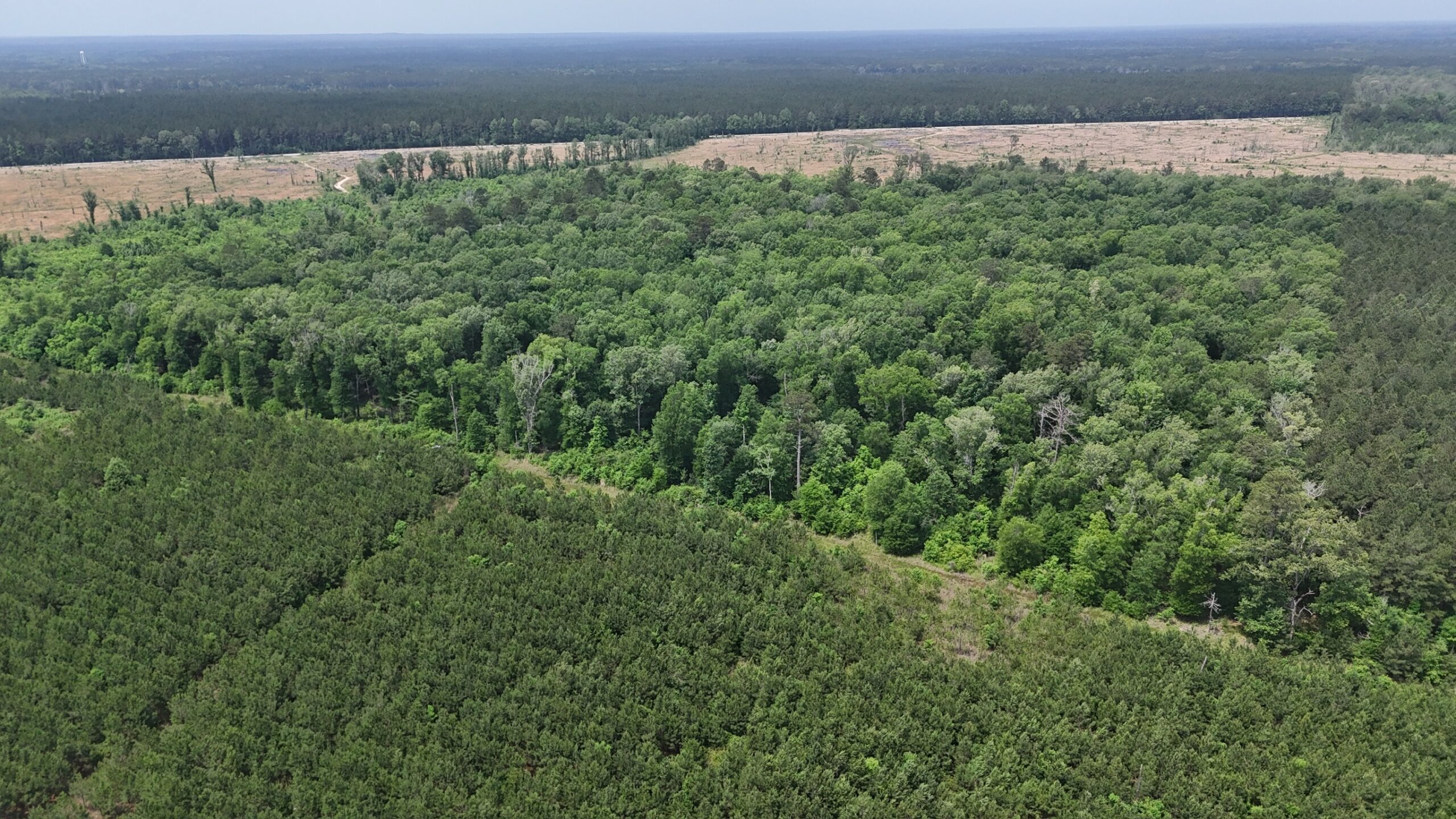 70 Acre Hunting Property with Camp Spot and Utilities