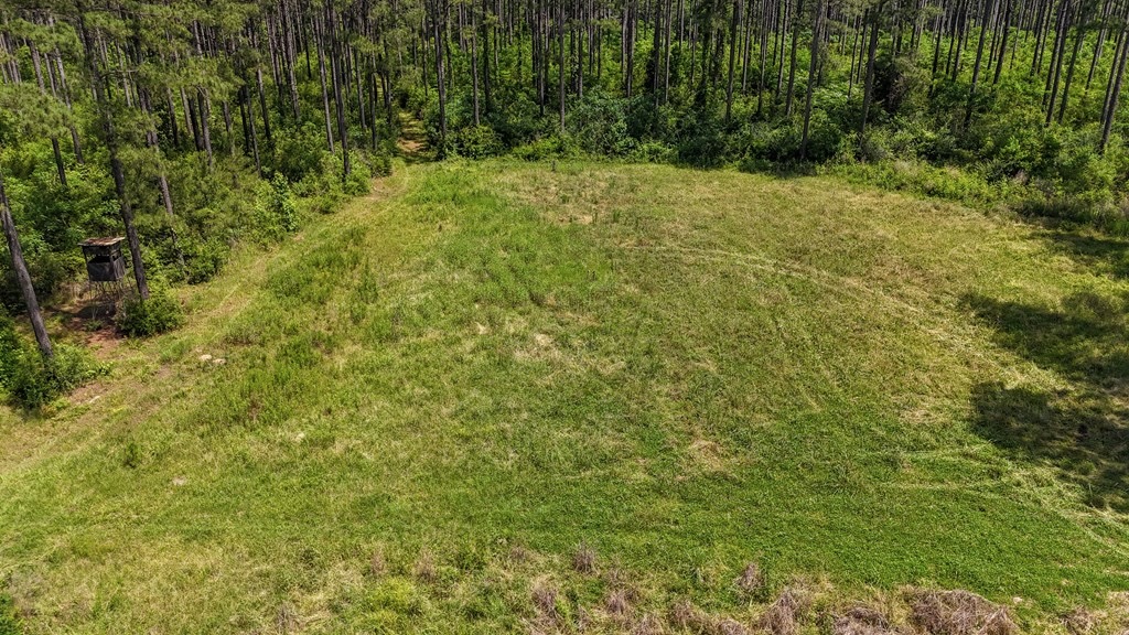 Turnkey Pike County, MS 70 Acres Hunting Property