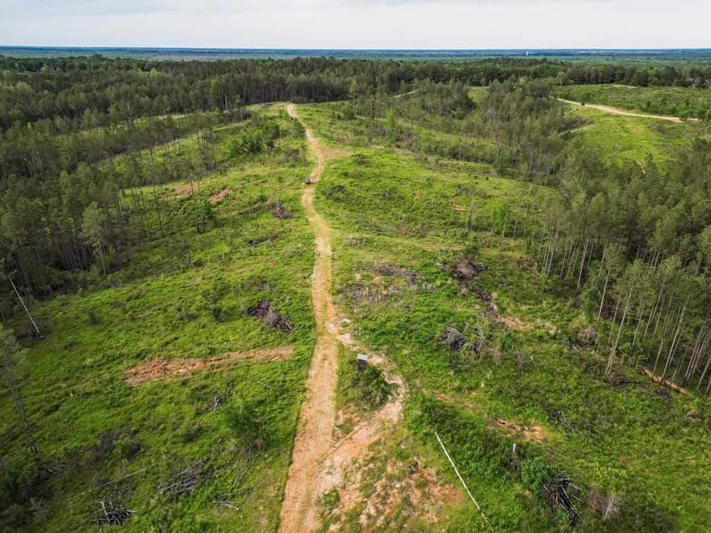 586 Hunting Land in the Catahoula Hills with Creek