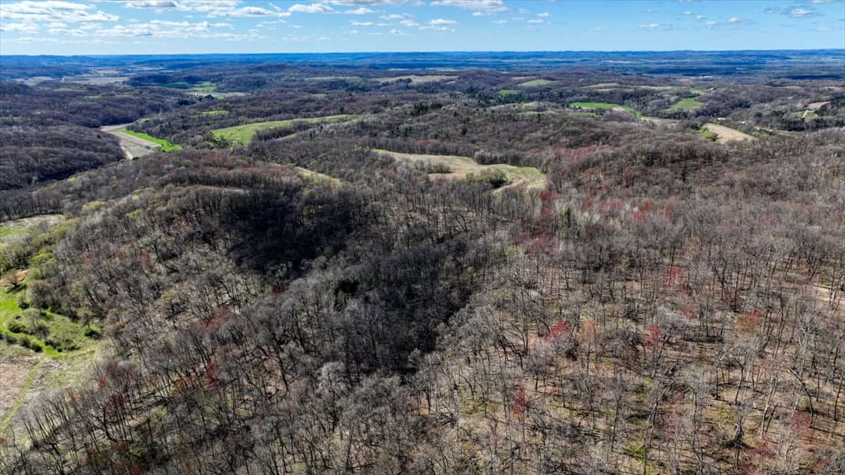 Premium 32+/- Acre Parcel in La Crosse County WI
