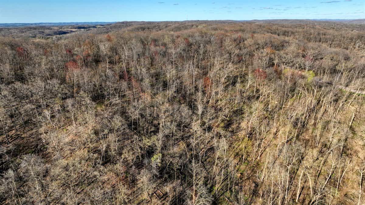 Prime 34+/- Acre Parcel in La Crosse County Wisconsin