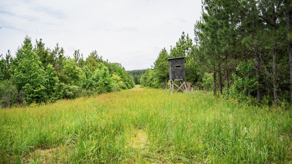Hunting Land in Mousehouse Parish Near Bastrop, LA