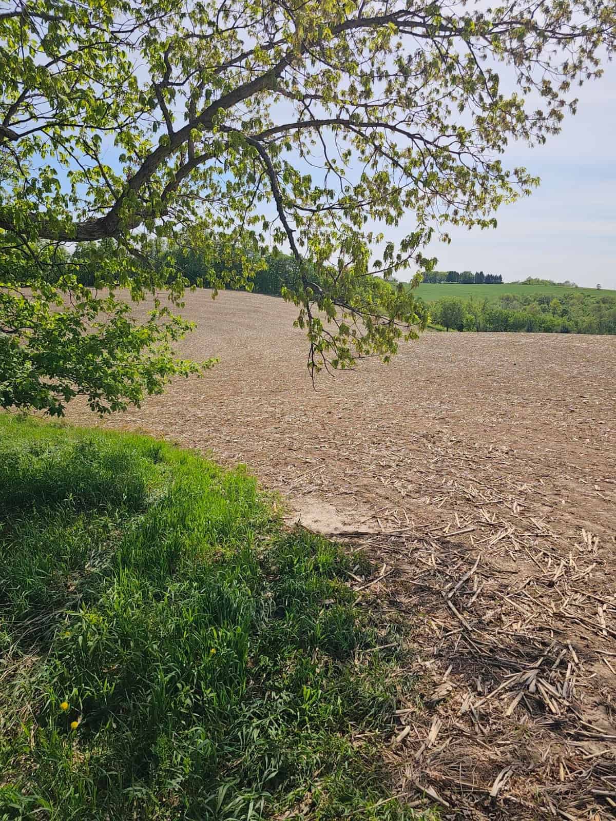 65-acre trophy whitetail and turkey hotspot