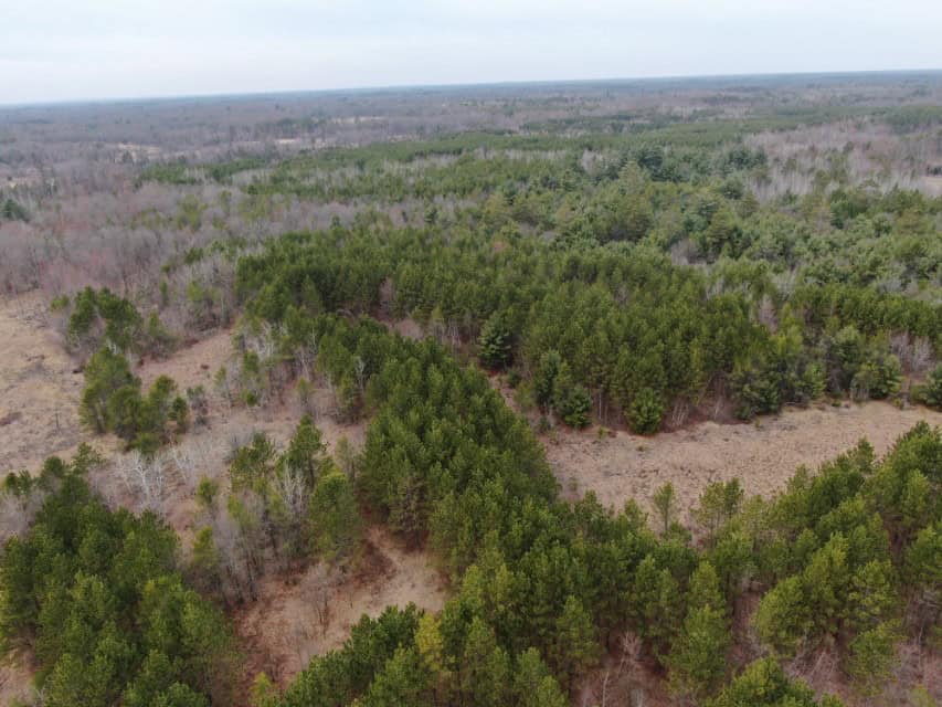103± acre timber tract in Juneau County’s Town of Necedah