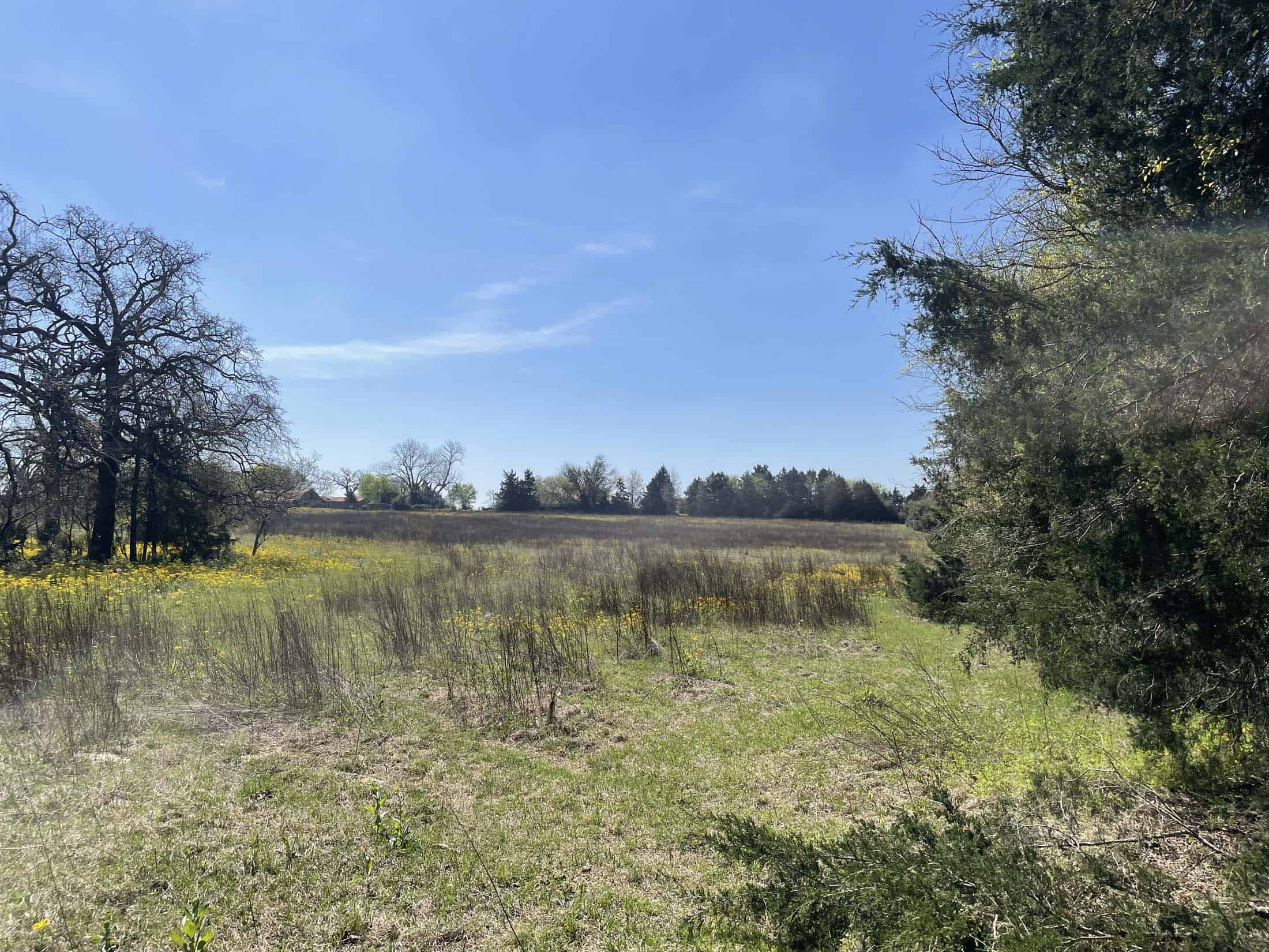 Recreational Ranch North of Houston near Grapeland TX