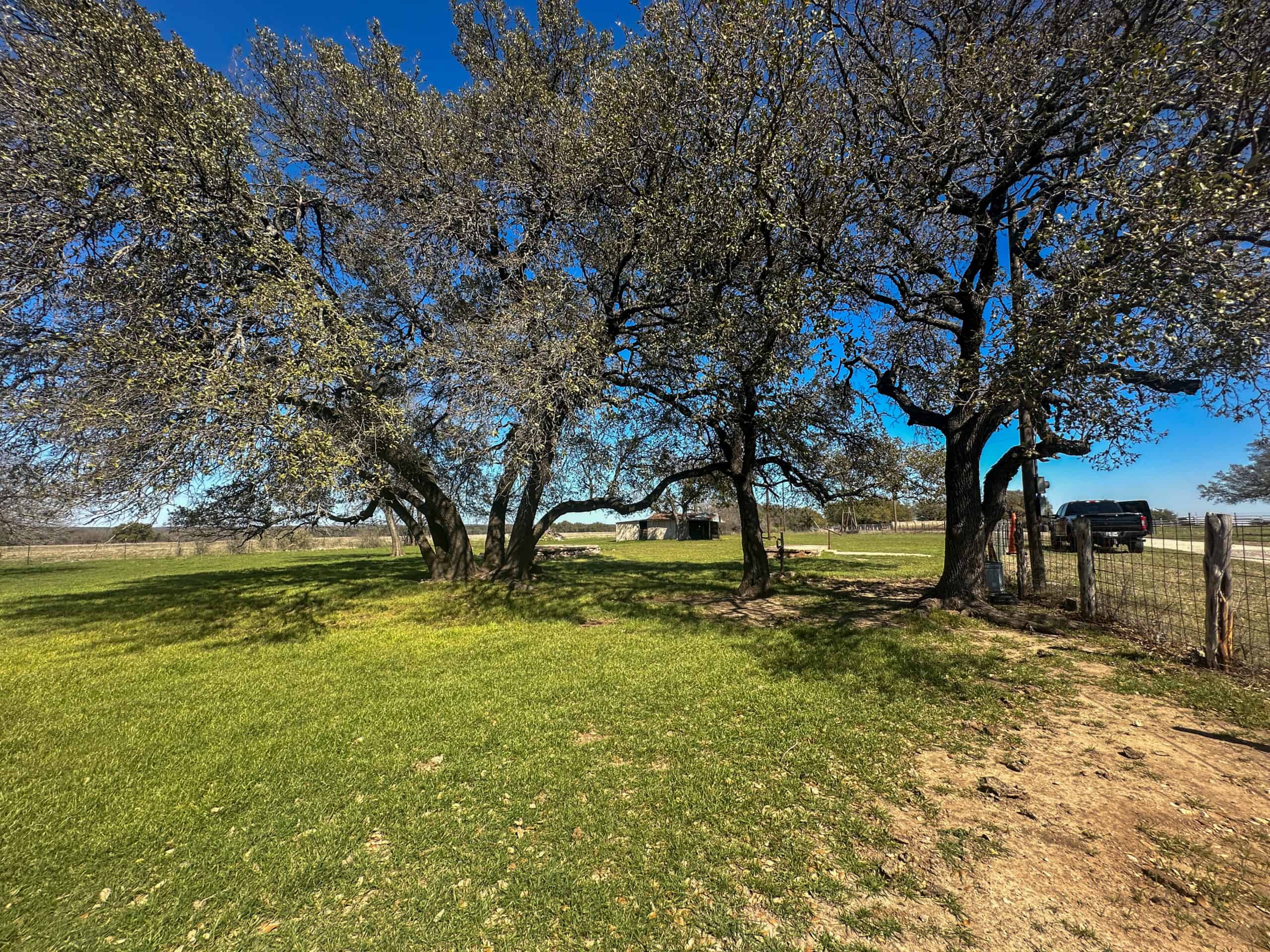 Serene 40 Acres in Central Texas