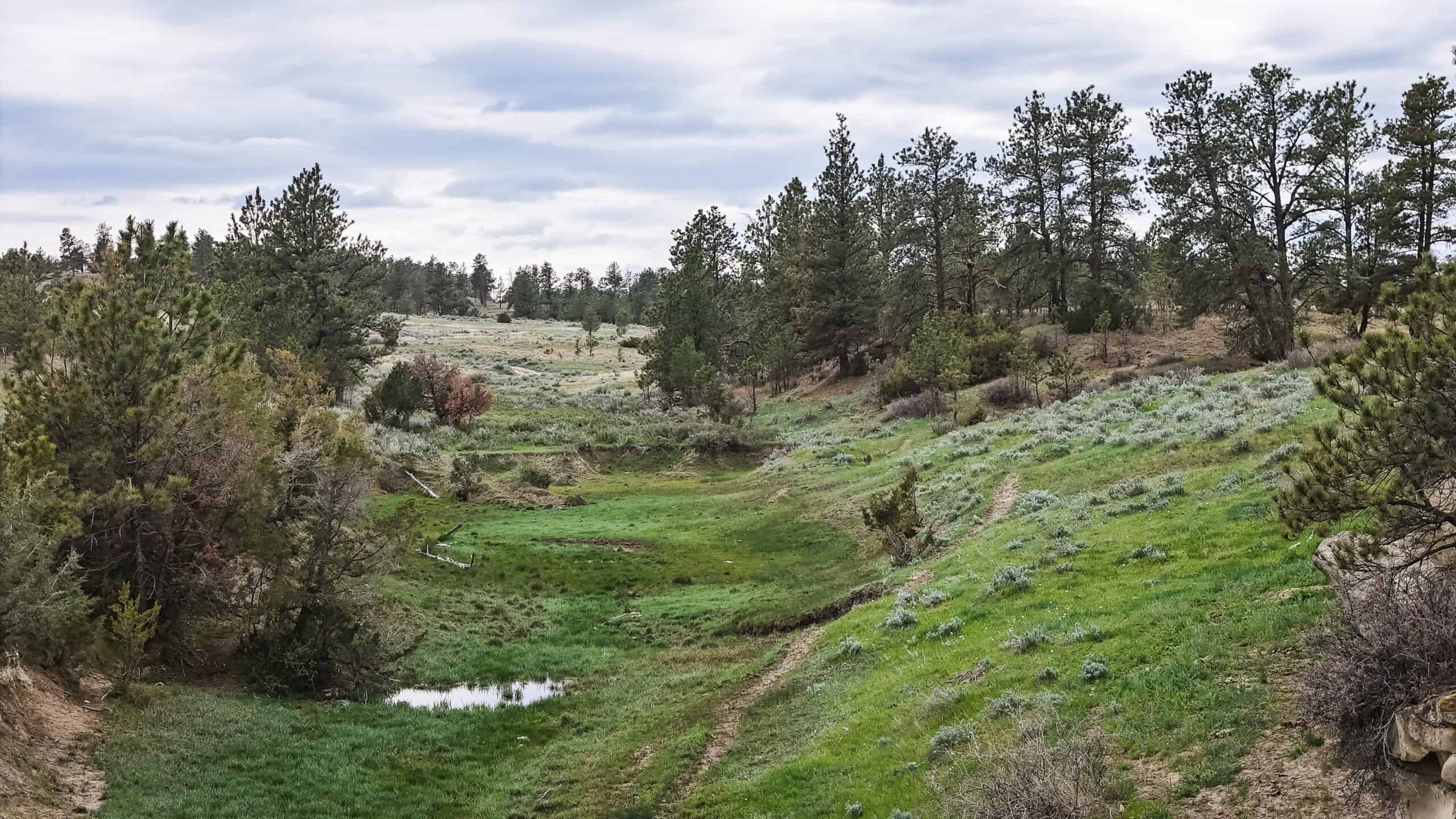 Scenic Montana Ranch with Elk, Deer & Trout Fishing