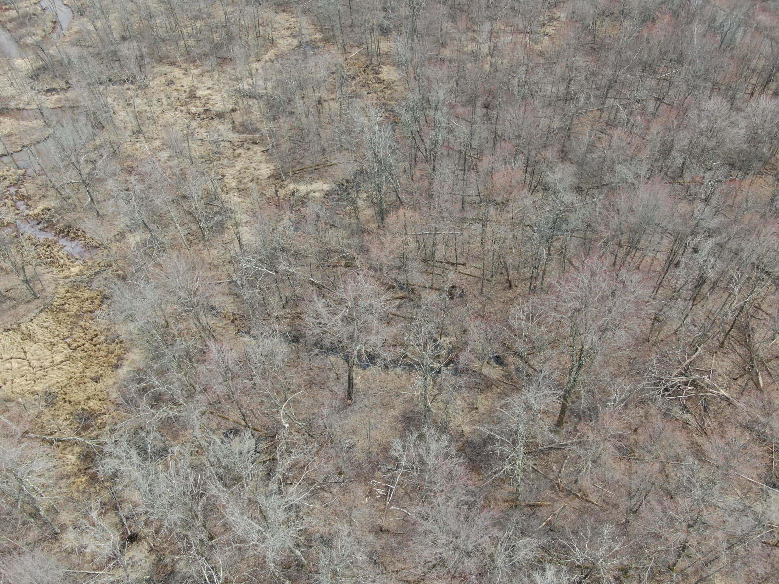 Juneau County WI 360 Acre Outdoor Paradise