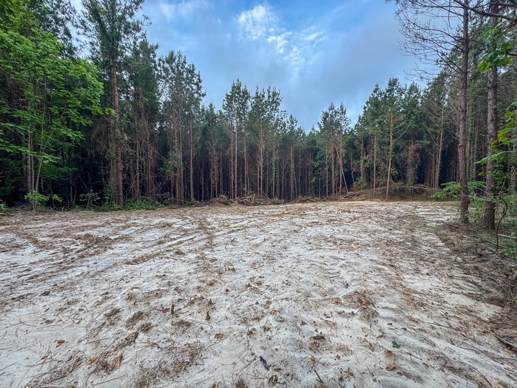 51 Acres of Hunting Land for Sale in Roxie, Mississippi