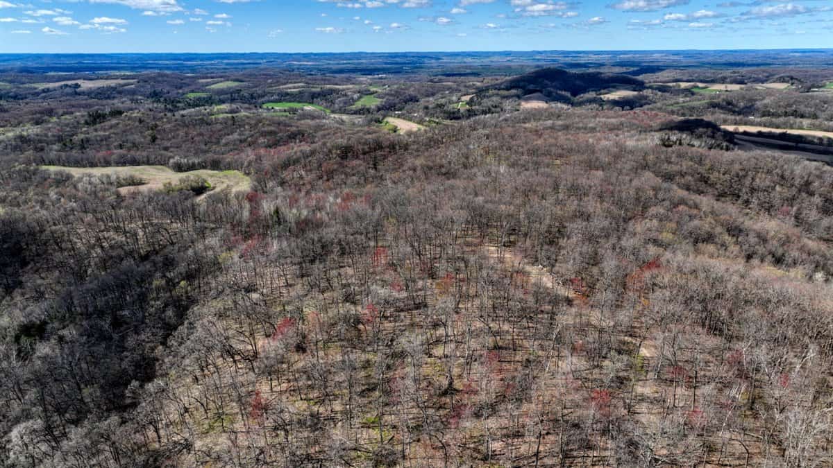 Premium 32+/- Acre Parcel in La Crosse County WI