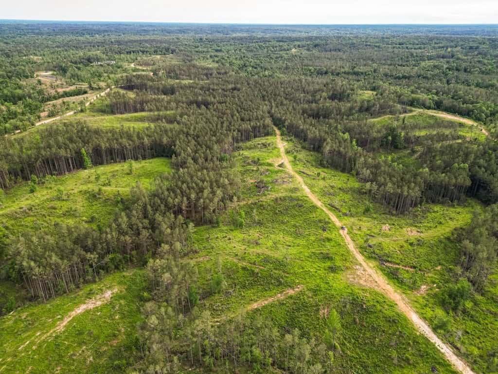 586 Hunting Land in the Catahoula Hills with Creek