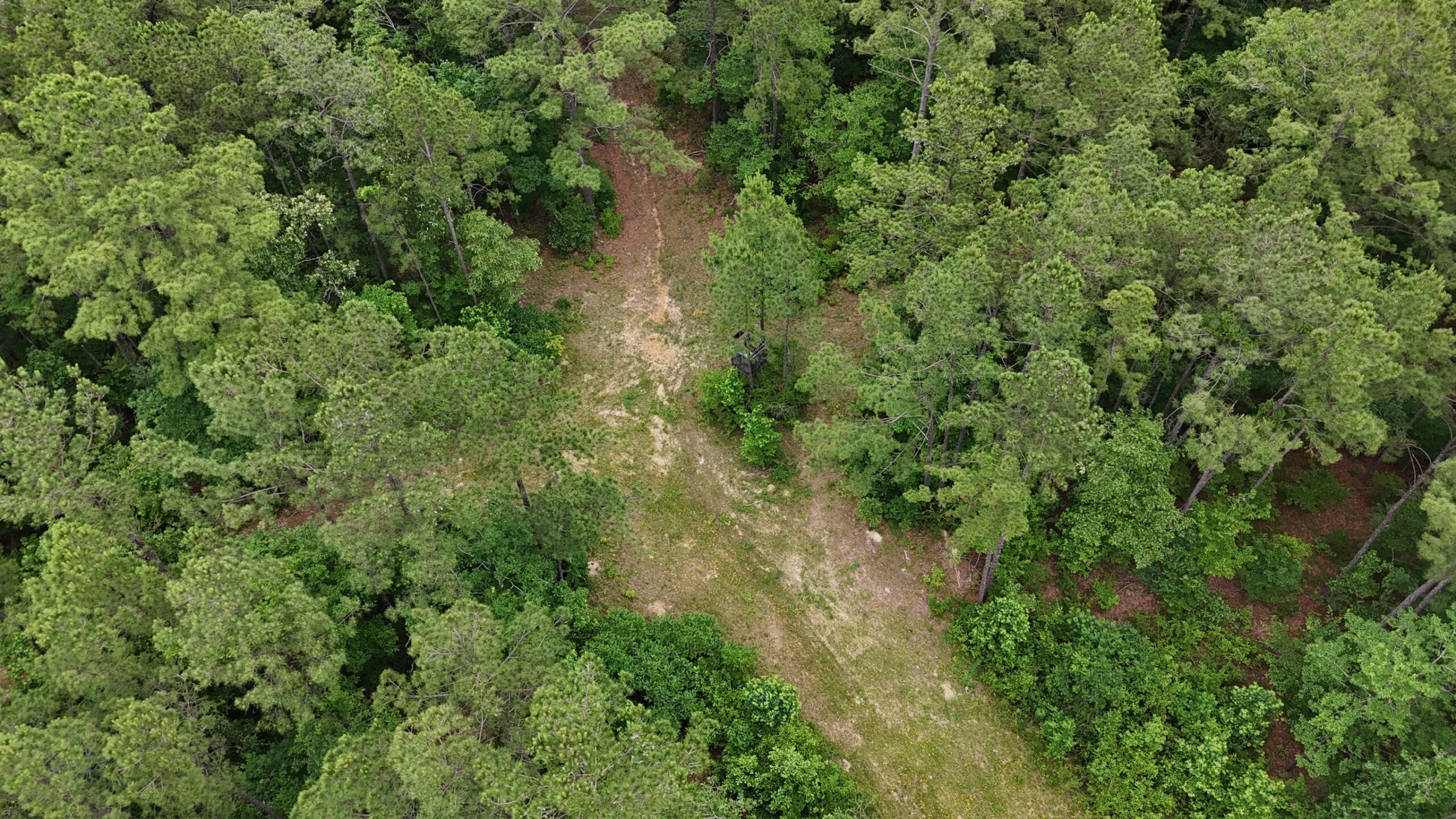 Riverfront Hunting Property with a Private Lake