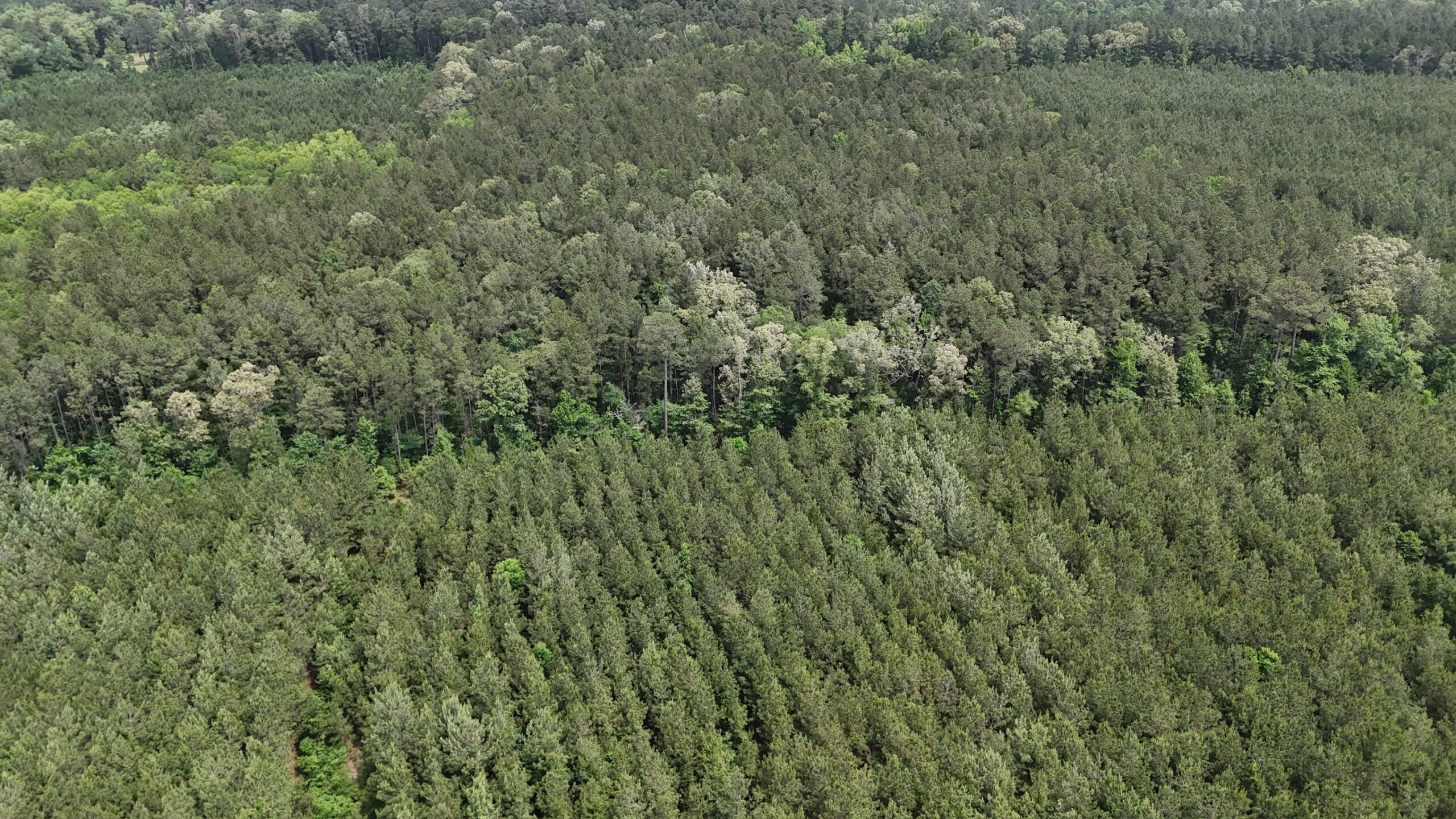 70 Acre Hunting Property with Camp Spot and Utilities