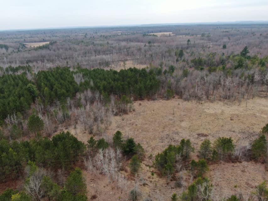 103± acre timber tract in Juneau County’s Town of Necedah
