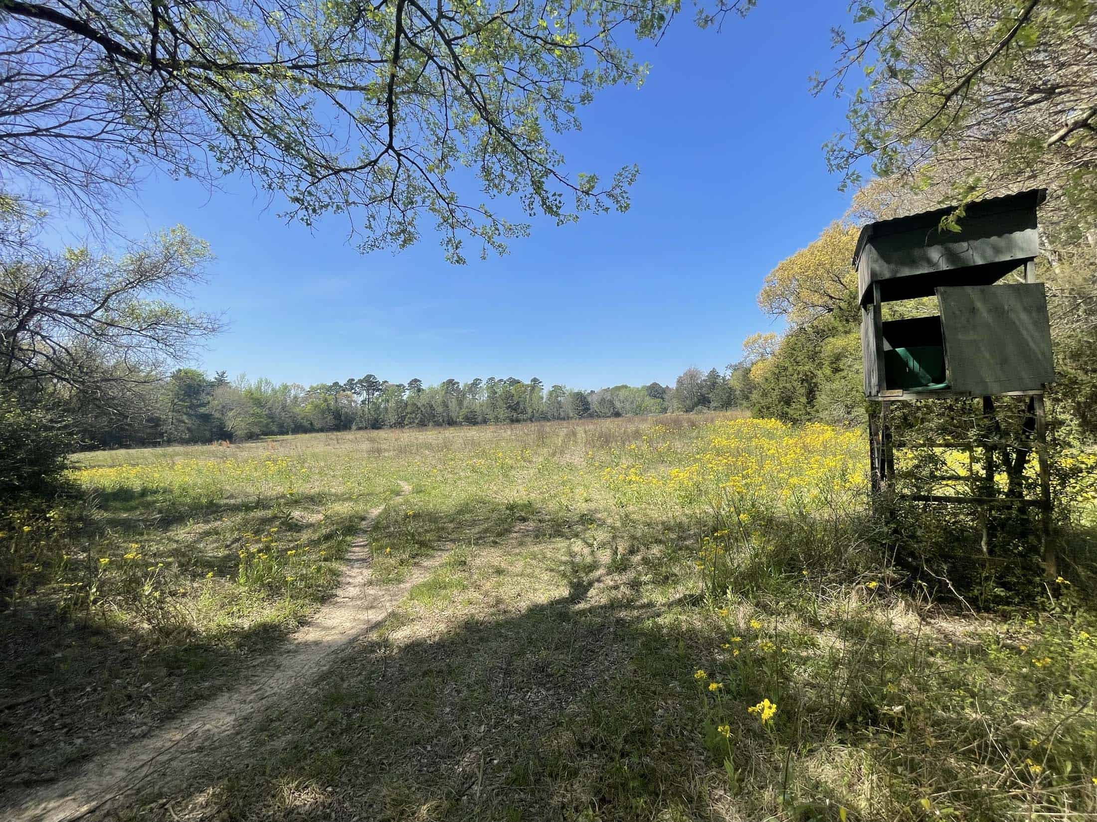 Recreational Ranch North of Houston near Grapeland TX