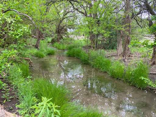 51.01 Acres for Sale in Gatesville, TX – Gated Entrance, Pond, and Stunning Views