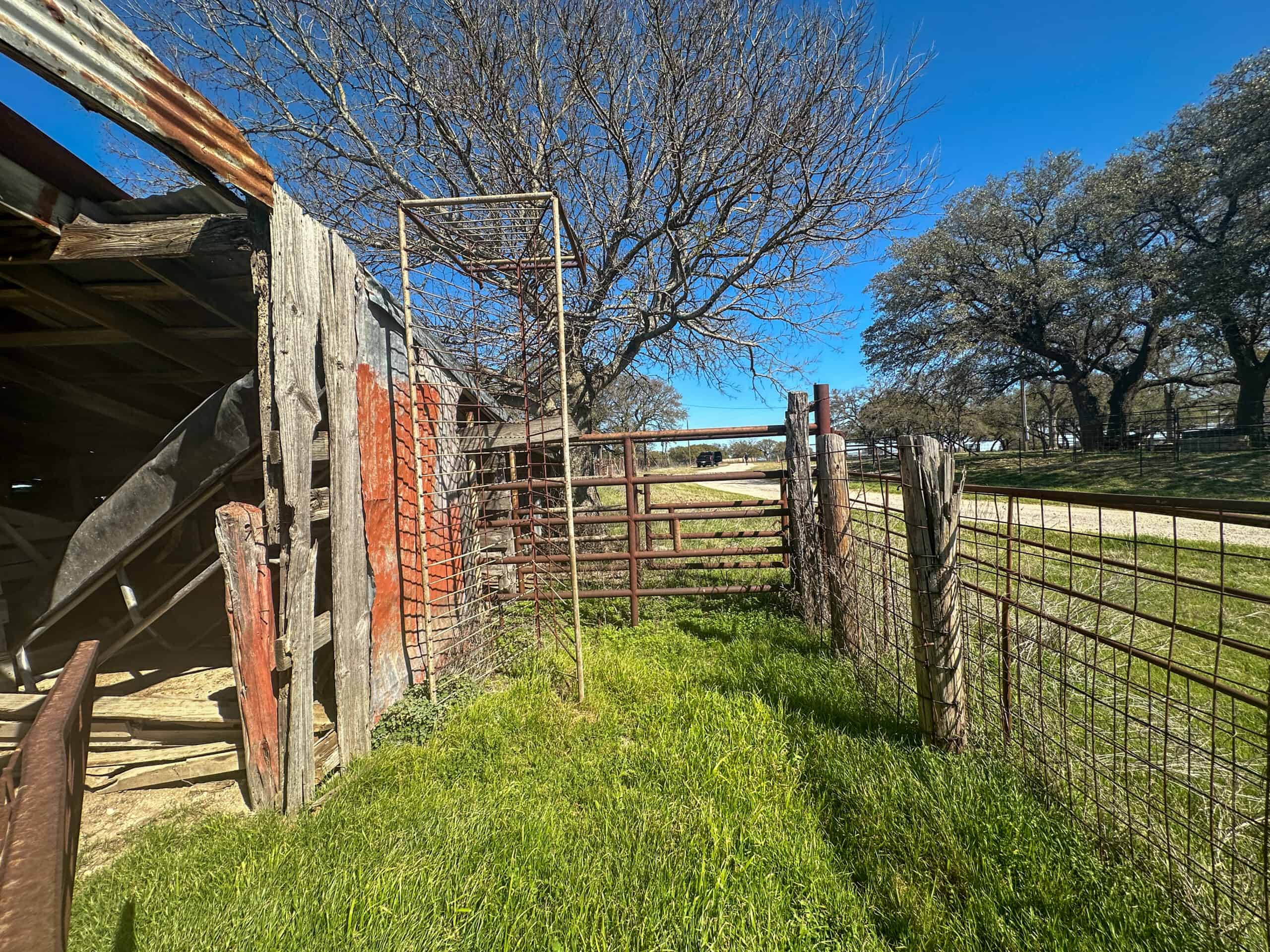 Serene 40 Acres in Central Texas