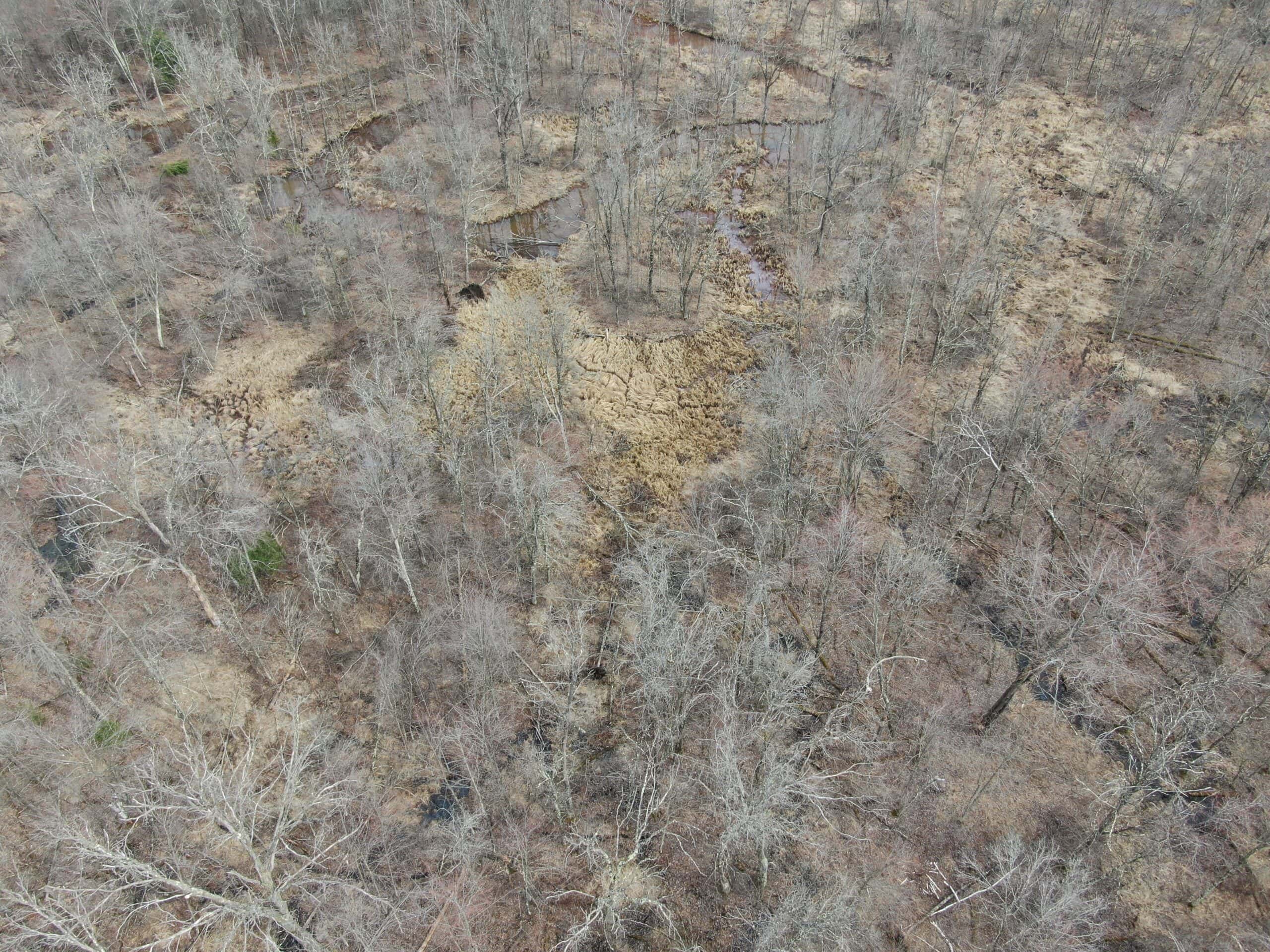 Juneau County WI 360 Acre Outdoor Paradise