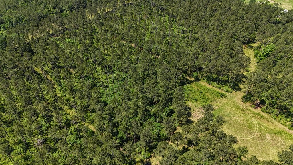 Turnkey Pike County, MS 70 Acres Hunting Property