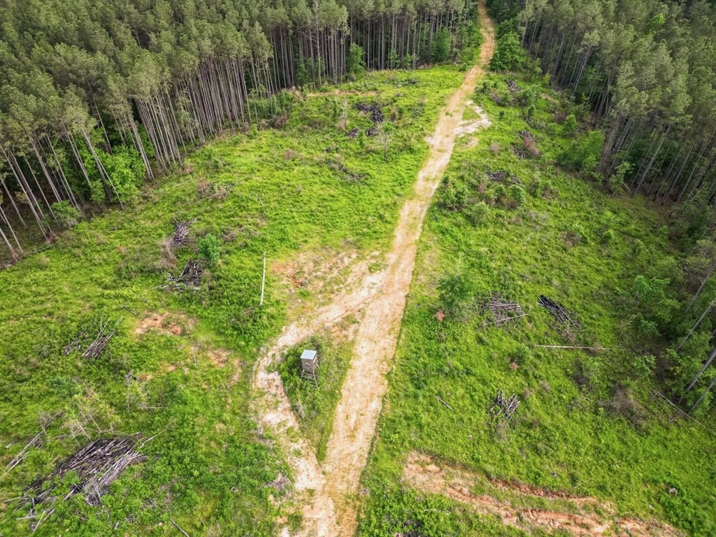 586 Hunting Land in the Catahoula Hills with Creek