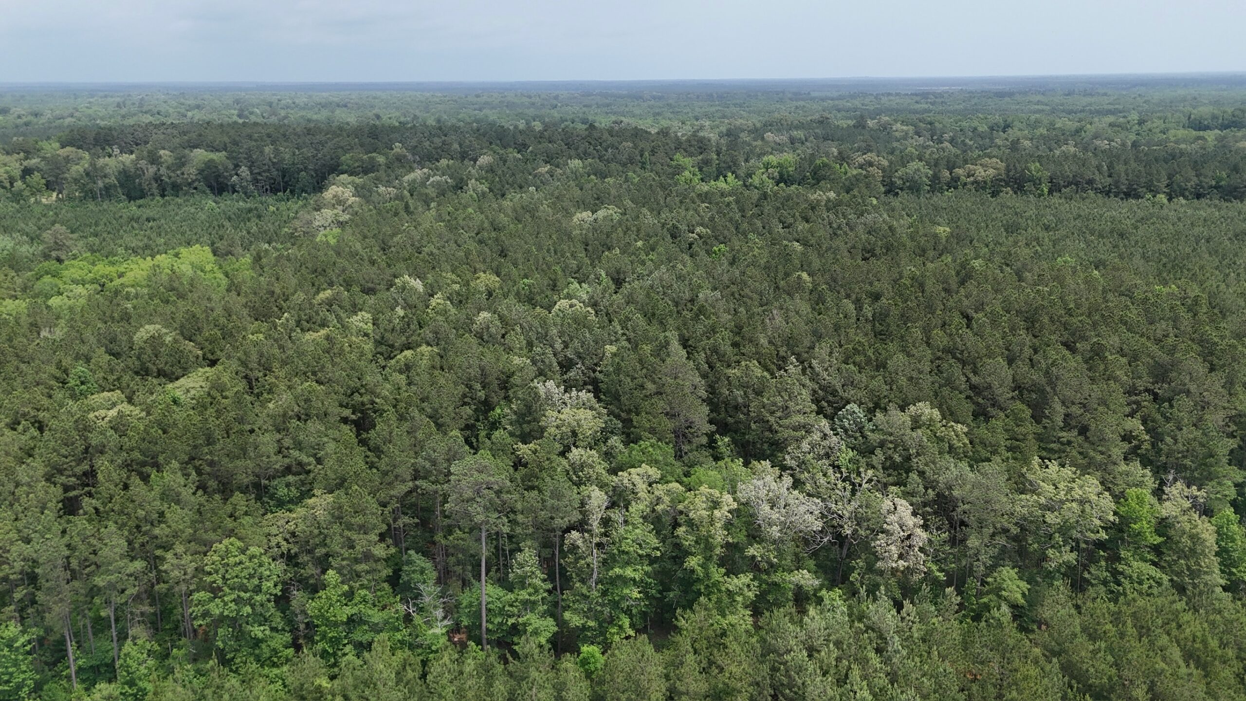 70 Acre Hunting Property with Camp Spot and Utilities
