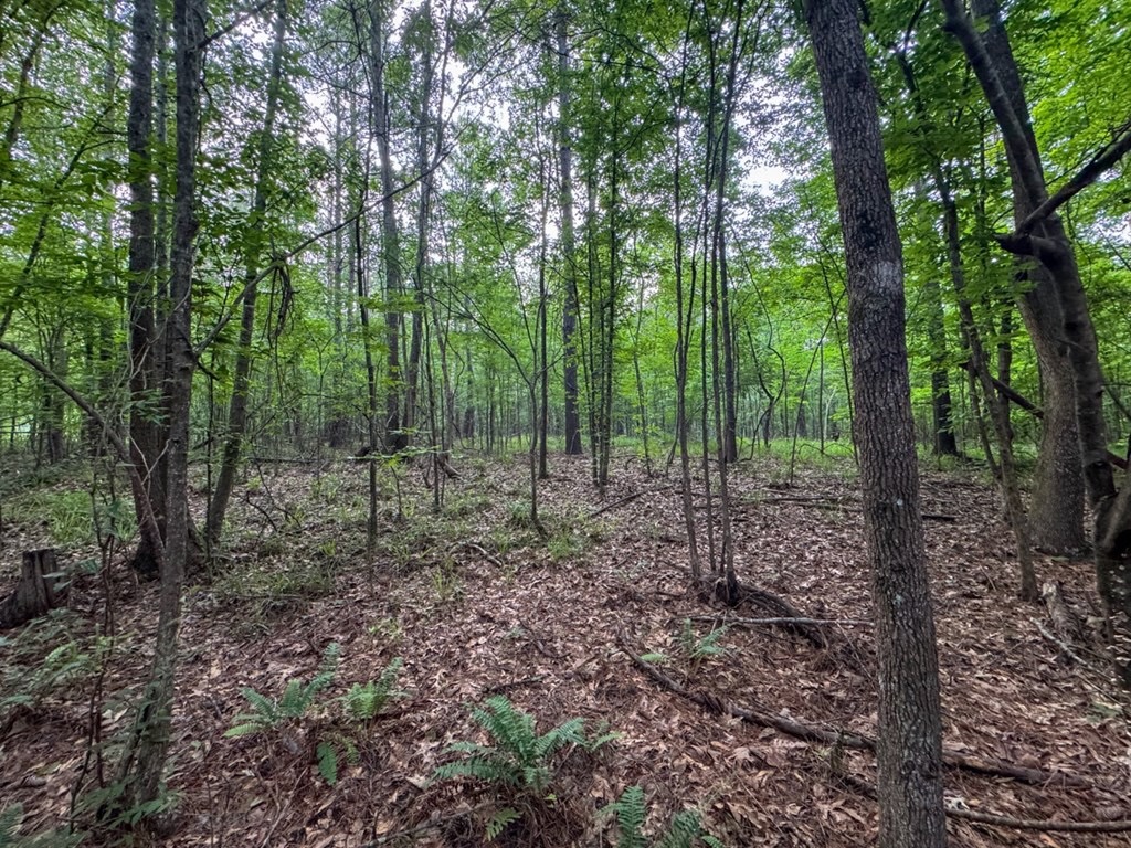 51 Acres of Hunting Land for Sale in Roxie, Mississippi