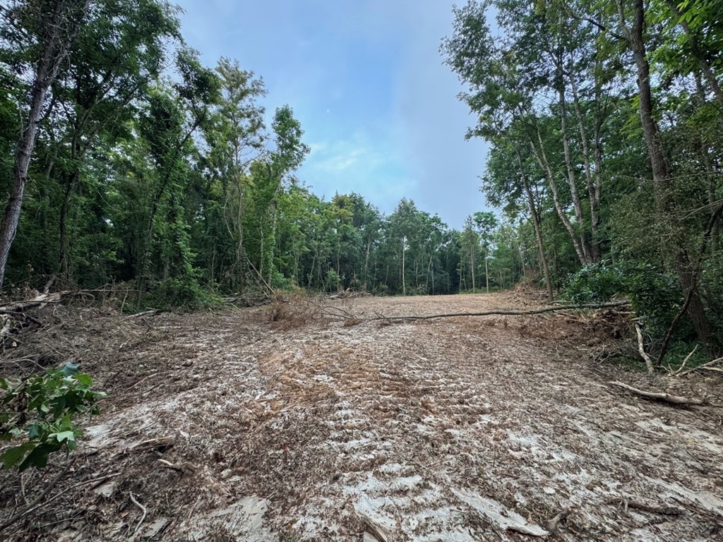 Hamburg 41: Hunting Land for Sale in Roxie, Mississippi