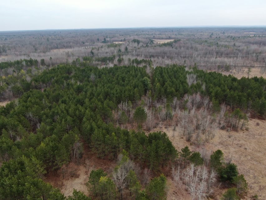 103± acre timber tract in Juneau County’s Town of Necedah