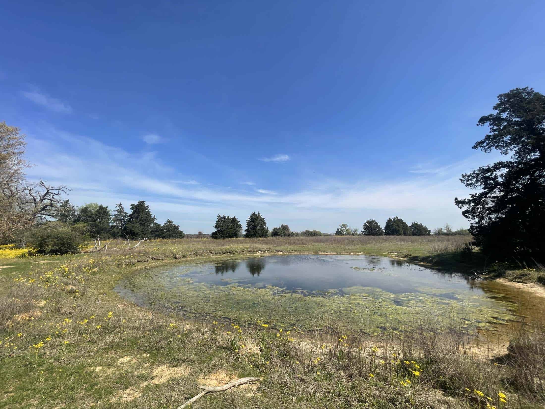 Recreational Ranch North of Houston near Grapeland TX