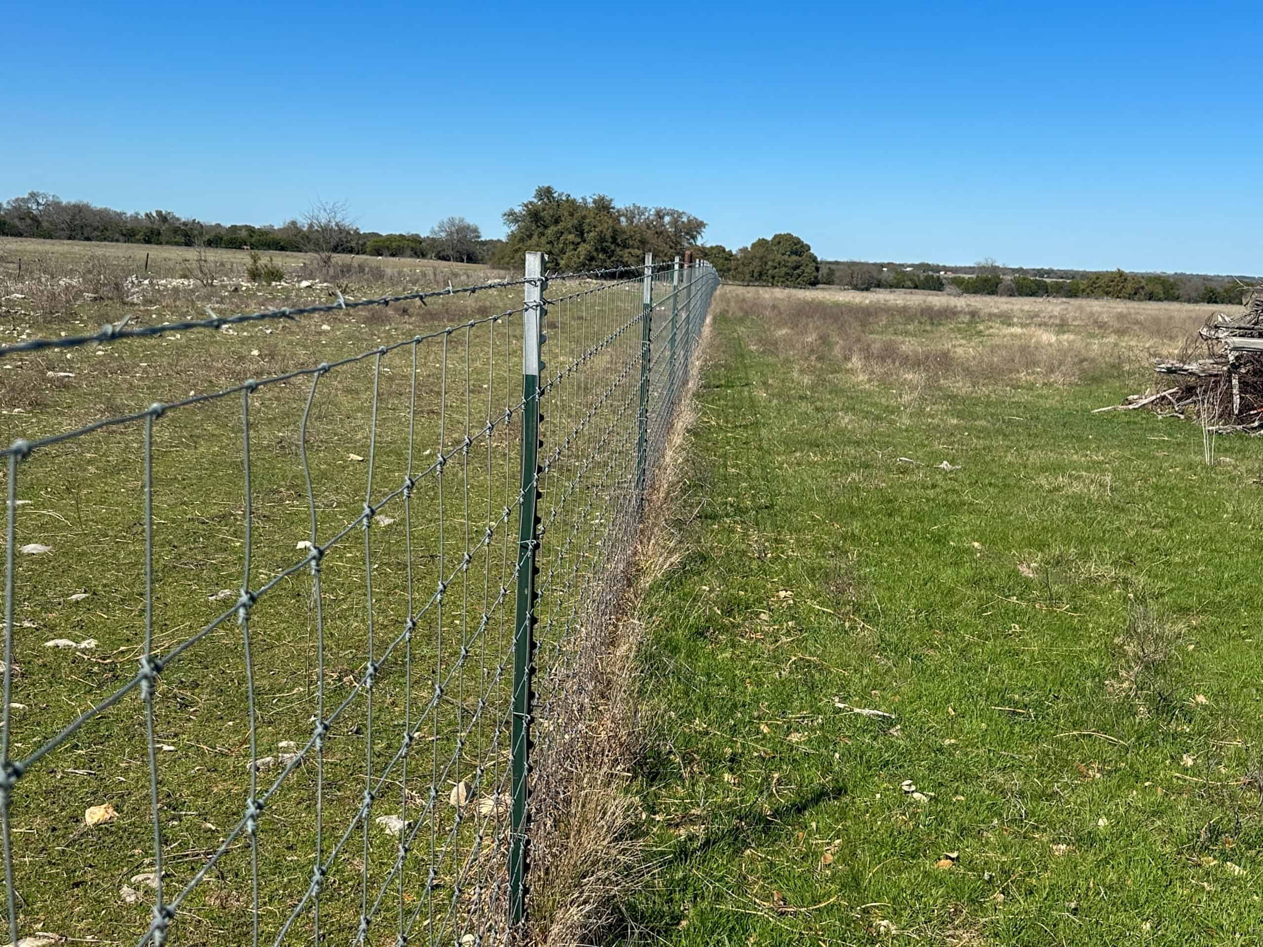 Serene 40 Acres in Central Texas