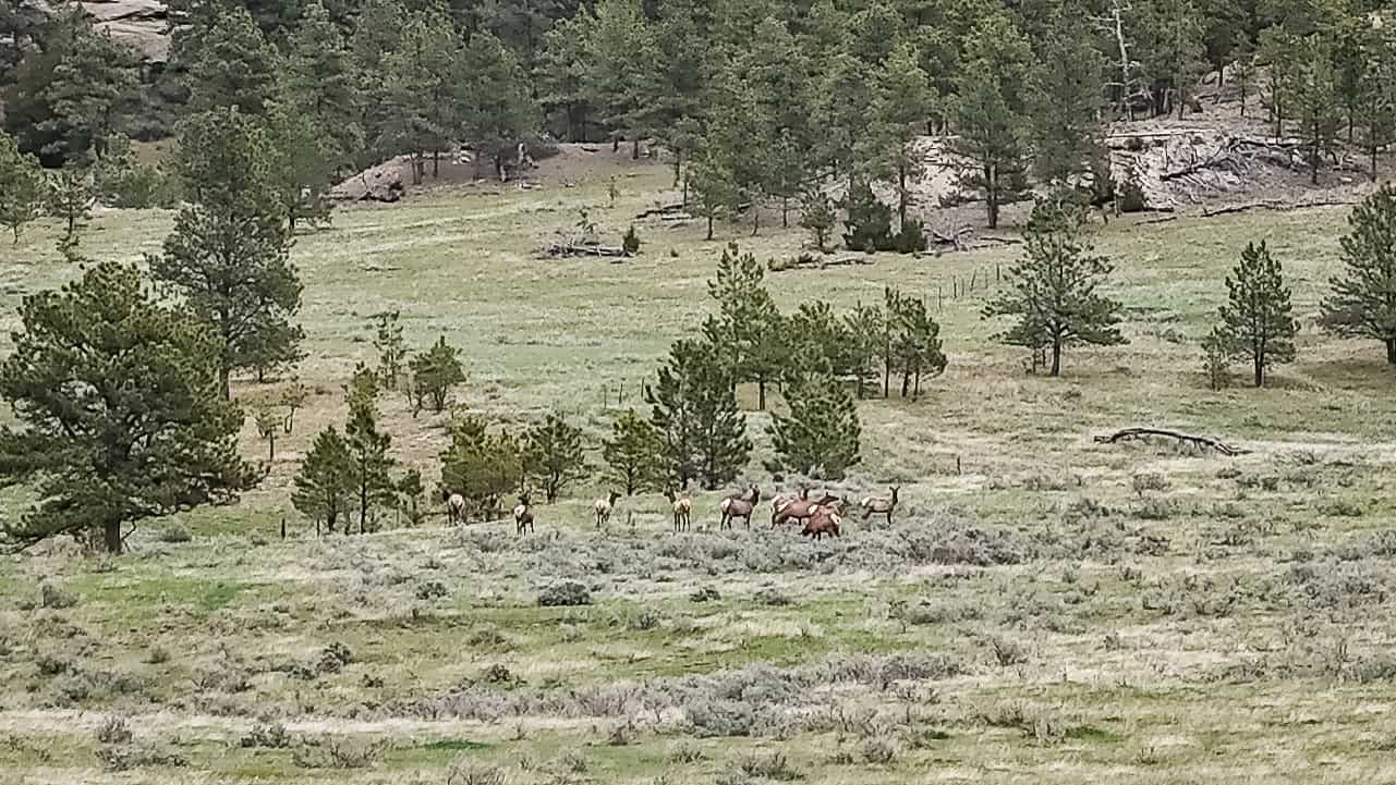 Scenic Montana Ranch with Elk, Deer & Trout Fishing