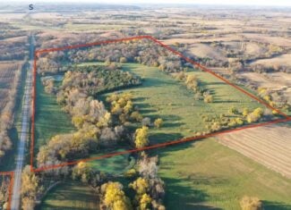 80 ± Acre Southern Parcel Farmland for Sale in Blockton, IA