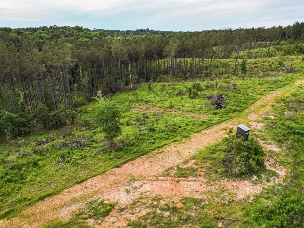 586 Hunting Land in the Catahoula Hills with Creek