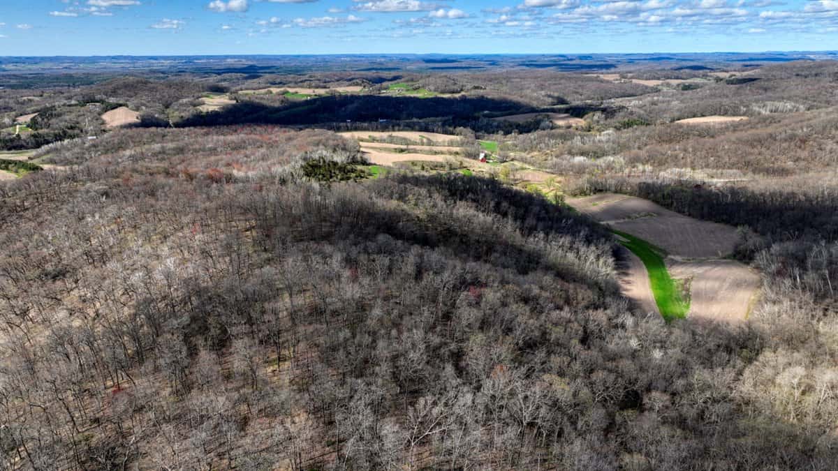 Premium 32+/- Acre Parcel in La Crosse County WI