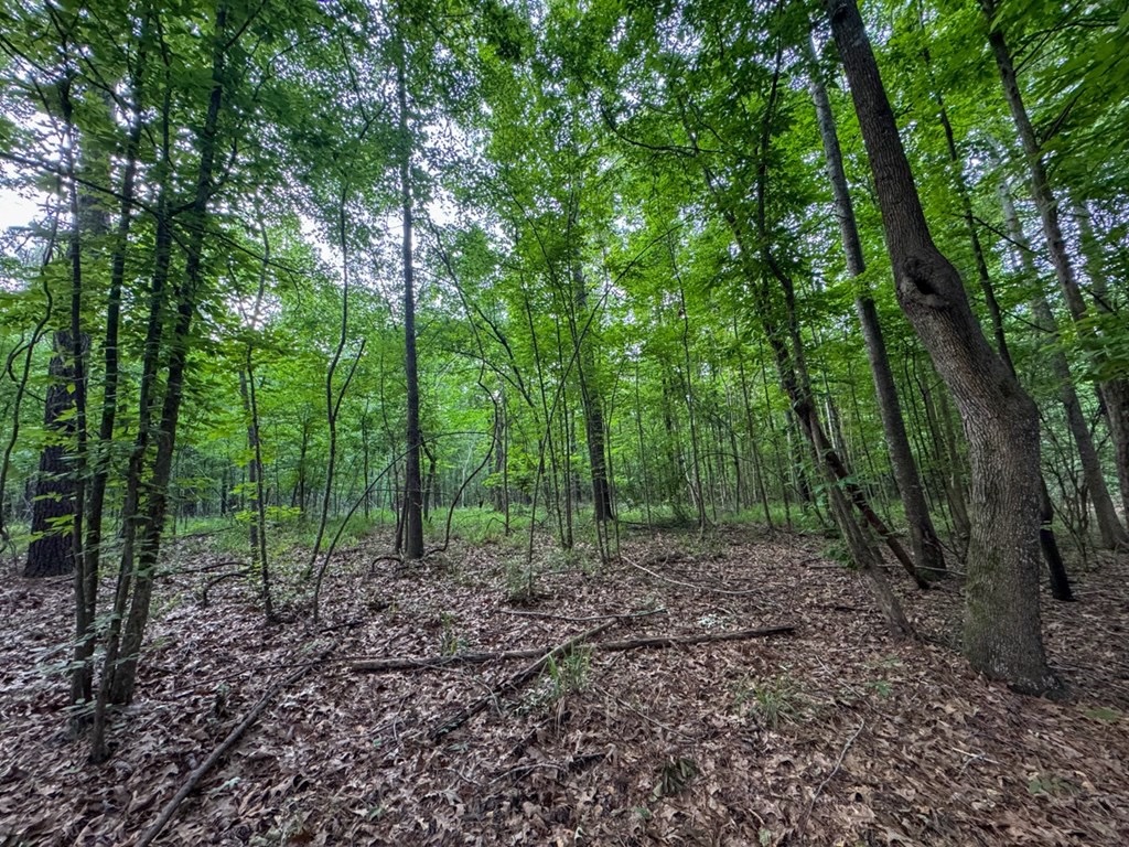 51 Acres of Hunting Land for Sale in Roxie, Mississippi