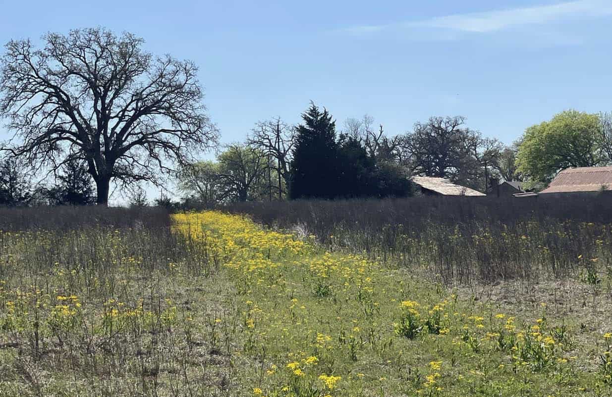 Recreational Ranch North of Houston near Grapeland TX