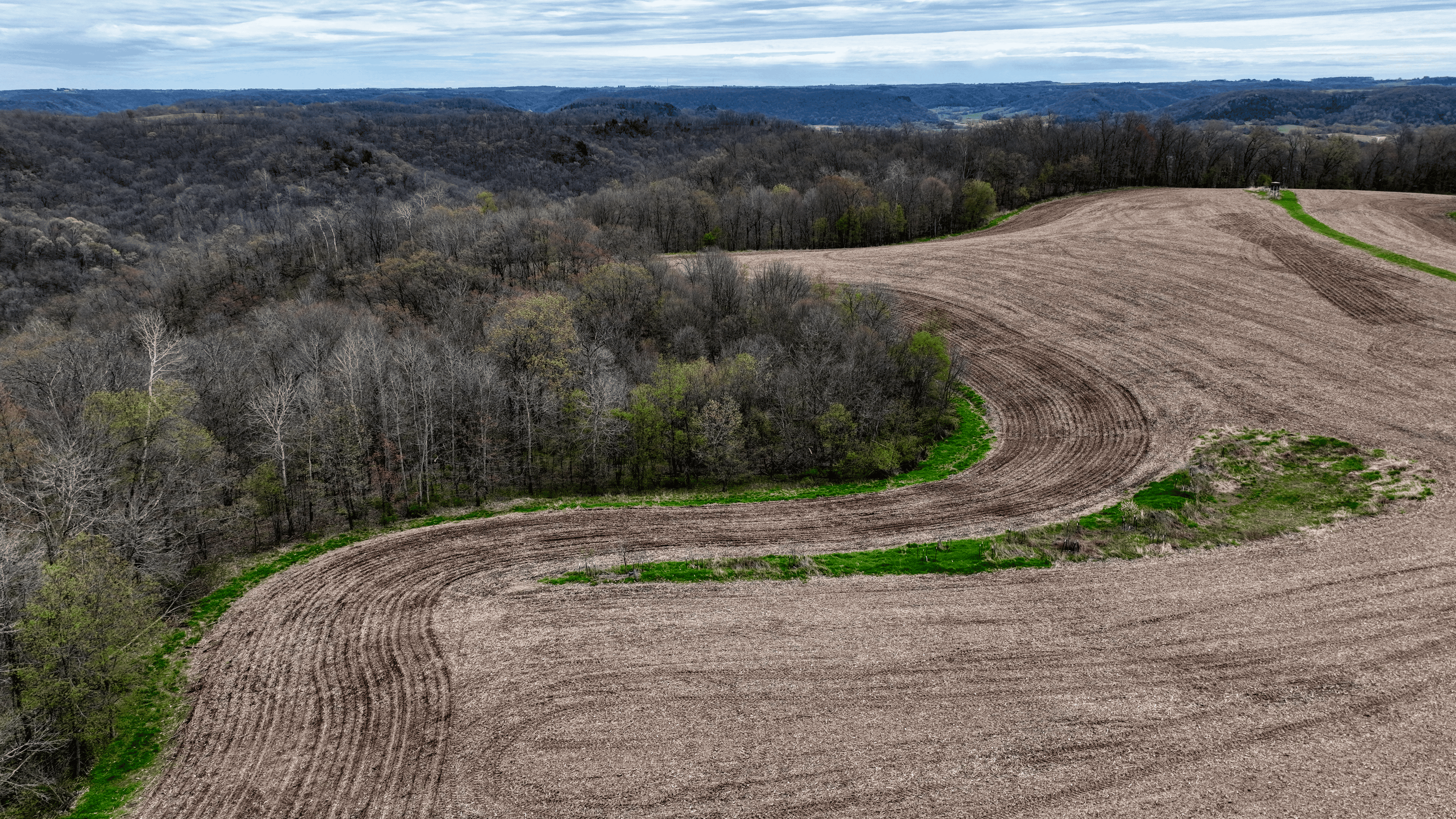 65-acre trophy whitetail and turkey hotspot
