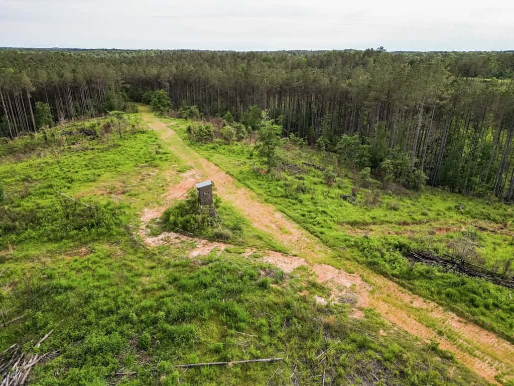 586 Hunting Land in the Catahoula Hills with Creek