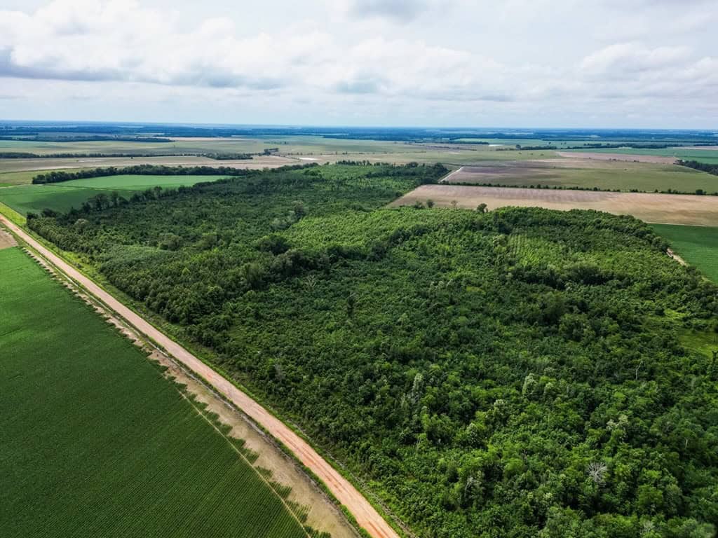 Hunting Land for Sale Morehouse Parish, LA