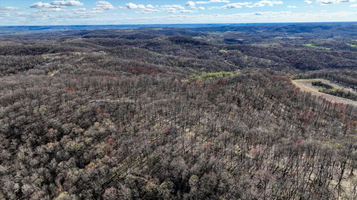 Premium 32+/- Acre Parcel in La Crosse County WI