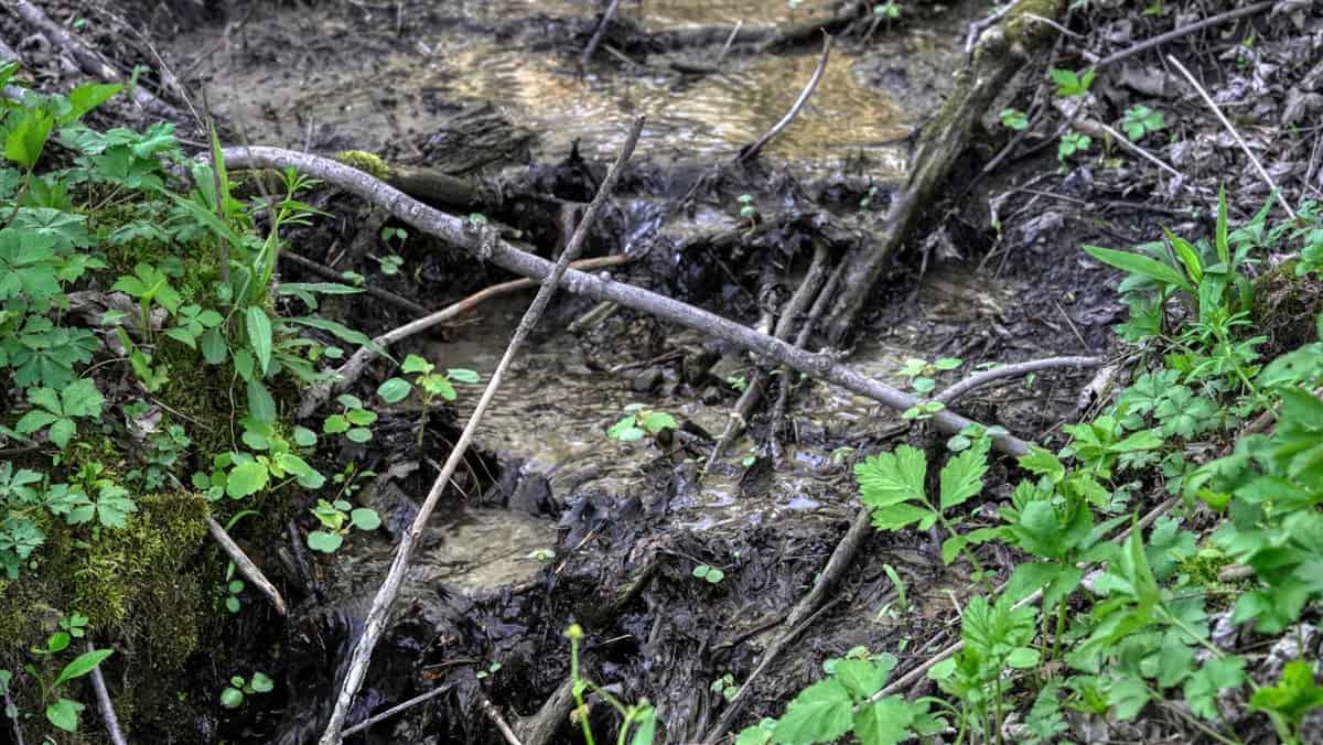Prime 34+/- Acre Parcel in La Crosse County Wisconsin
